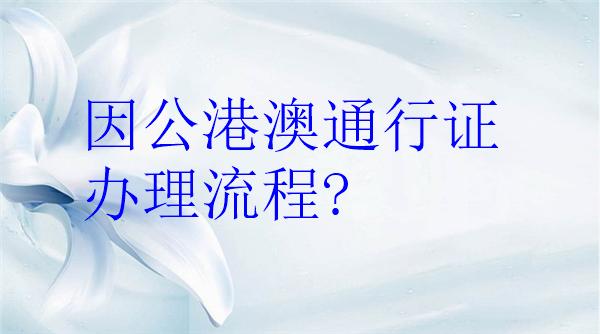 因公港澳通行证办理流程